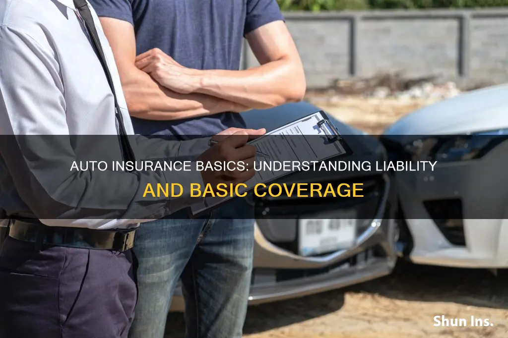 is basic auto insurance the same liability