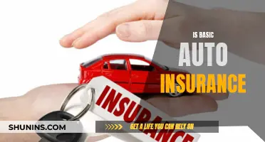 Auto Insurance Basics: What You Need to Know