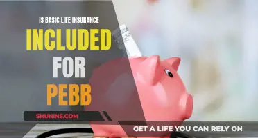 Life Insurance: Pebb's Basic Coverage and Beyond