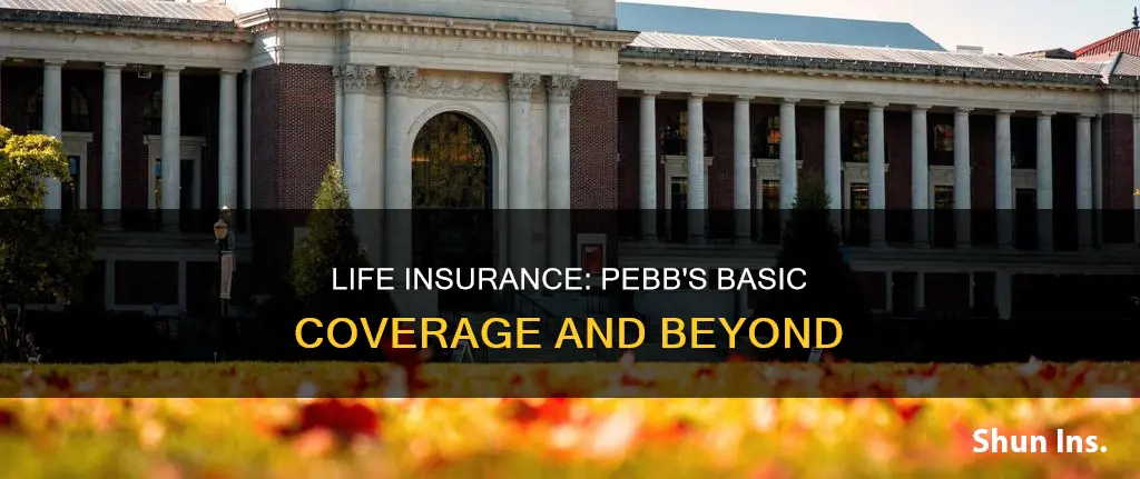 is basic life insurance included for pebb