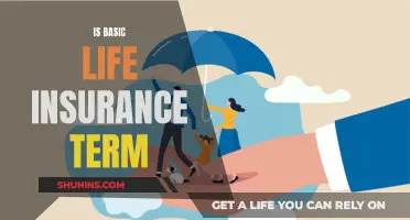 Life Insurance 101: Understanding Basic Term Coverage