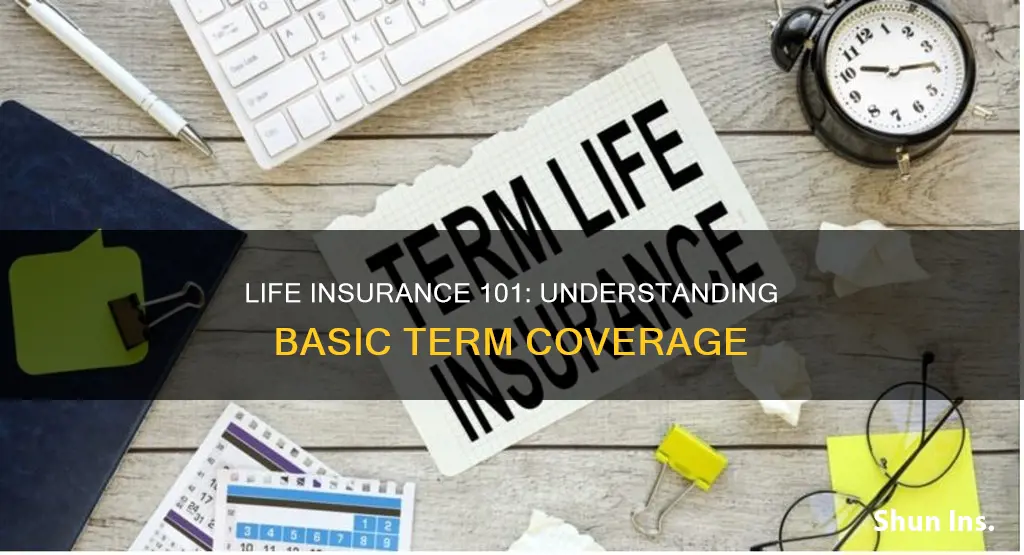 is basic life insurance term