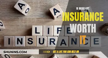 Life Insurance: Basic Coverage, Worth the Cost?