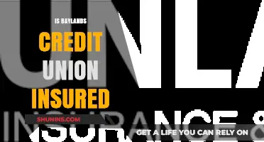 Is Baylands Credit Union Insured? Understanding Your Deposit Protection
