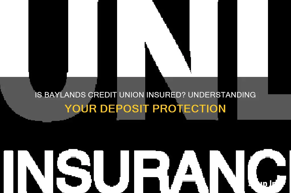 is baylands credit union insured
