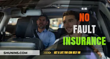 Understanding BC's No-Fault Insurance System: Benefits and Implications