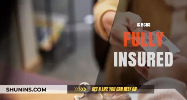 Is BCBS Fully Insured? Understanding Your Health Plan Coverage