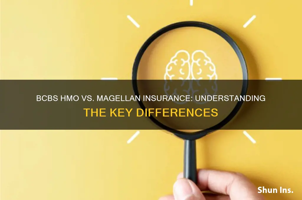 is bcbs hmo same as magellan insurance