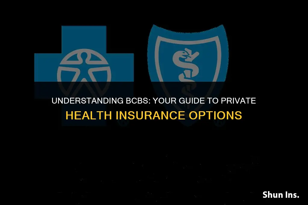 is bcbs private health insurance