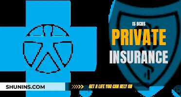 Understanding BCBS: Private Insurance Options and Benefits