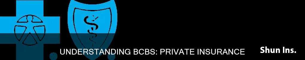 is bcbs private insurance