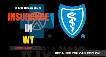 Exploring Health Insurance Options in Wyoming: Is BCBS the Only Choice?