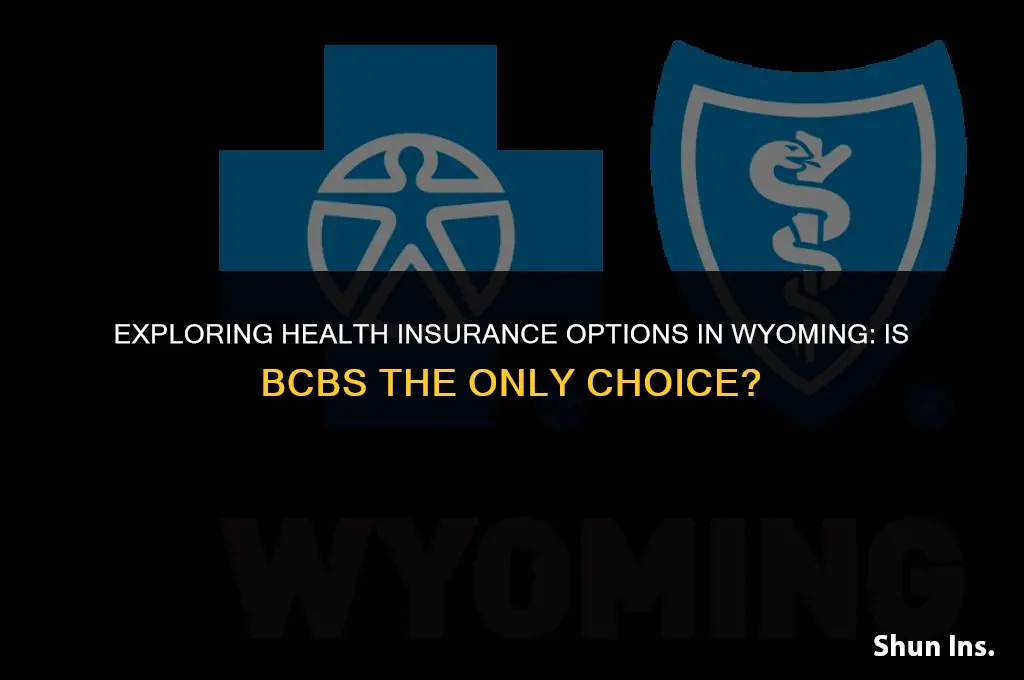 is bcbs the only health insurance in wy