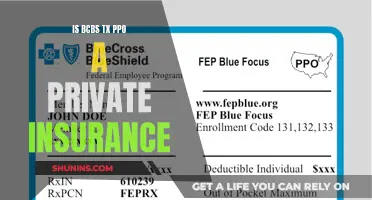 Understanding BCBS TX PPO: Private Insurance Options