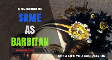 BCS Insurance vs. Barbitan: Understanding the Key Differences and Similarities