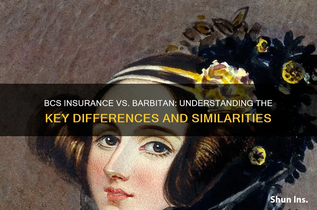 is bcs insurance the same as barbitan