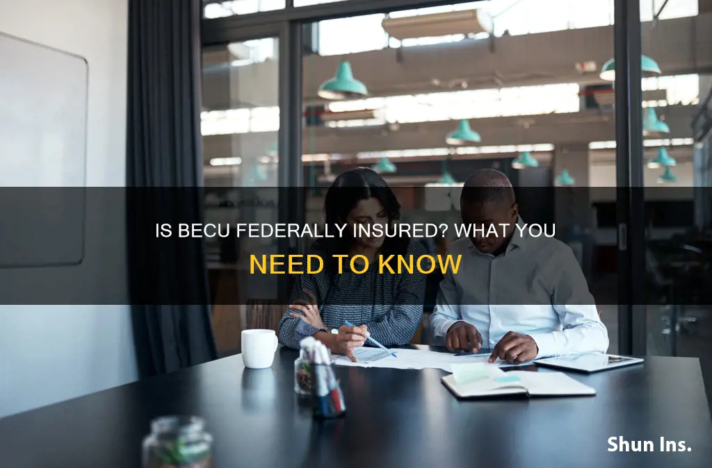 is becu federally insured
