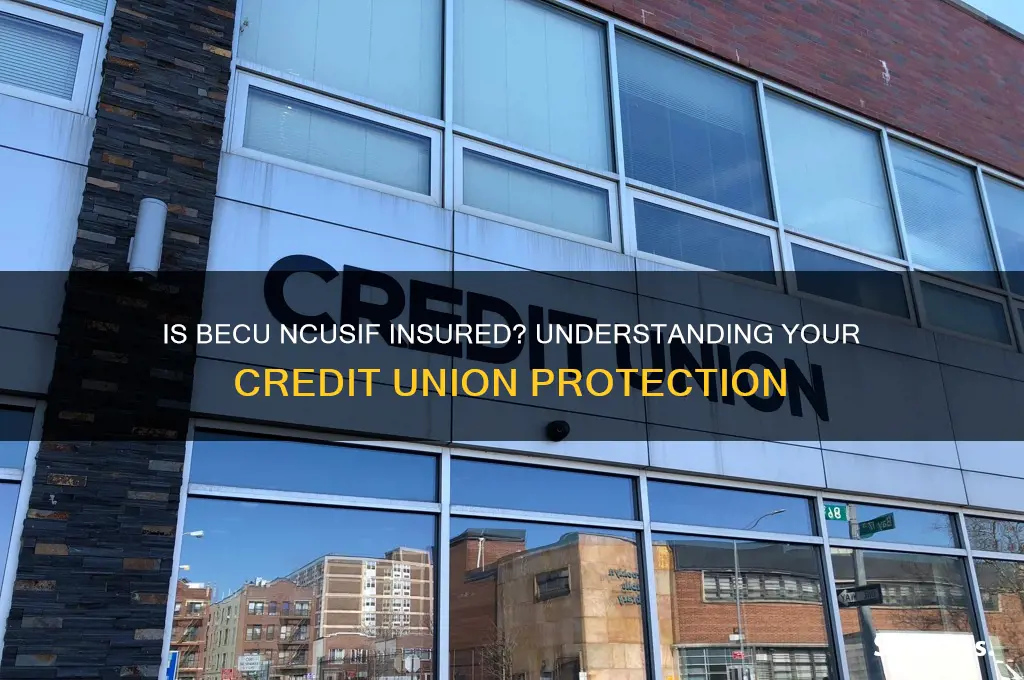 is becu ncusif insured