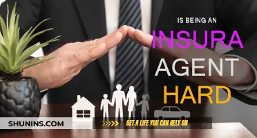 Challenges of Being an Insurance Agent