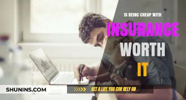 Cheap Insurance: Worth the Risk?