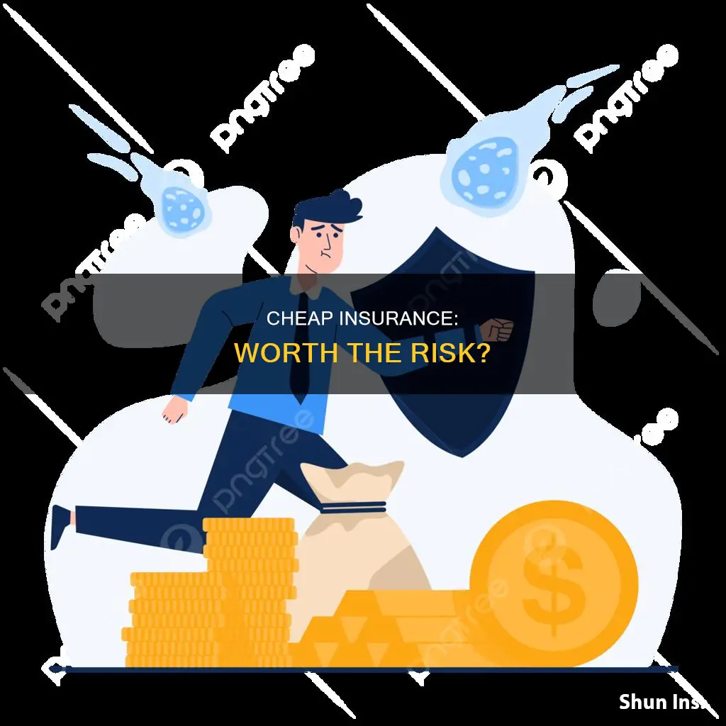 is being cheap with insurance worth it