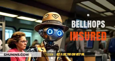 Is Bellhops Insured? Understanding Their Coverage and Protection Policies