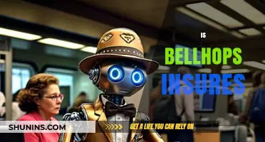 Does Bellhops Insurance Cover Your Move? What You Need to Know