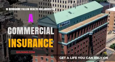Exploring Berkshire Fallon Health Collaborative: Commercial Insurance Insights