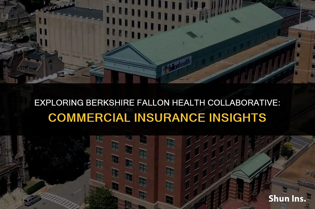is berkshire fallon health collaborative a commercial insurance