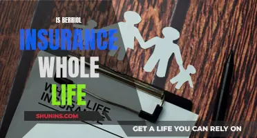 Berriol Insurance: Whole Life Policy Benefits and Drawbacks