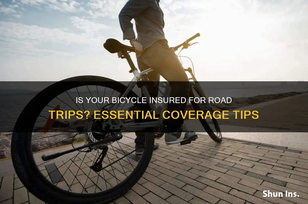 is bicycle insured on road trip