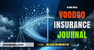 Big Data in Insurance: Voodoo or Valuable Predictive Tool?