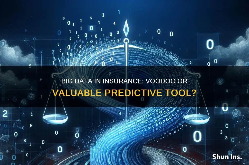 is big data voodoo insurance journal