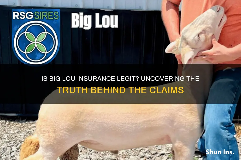 is big lou insurance legit