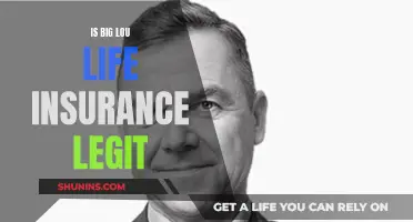 Big Lou Life Insurance: Legit or Scam?