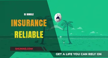 Is Bingle Insurance Reliable? A Comprehensive Review and Analysis