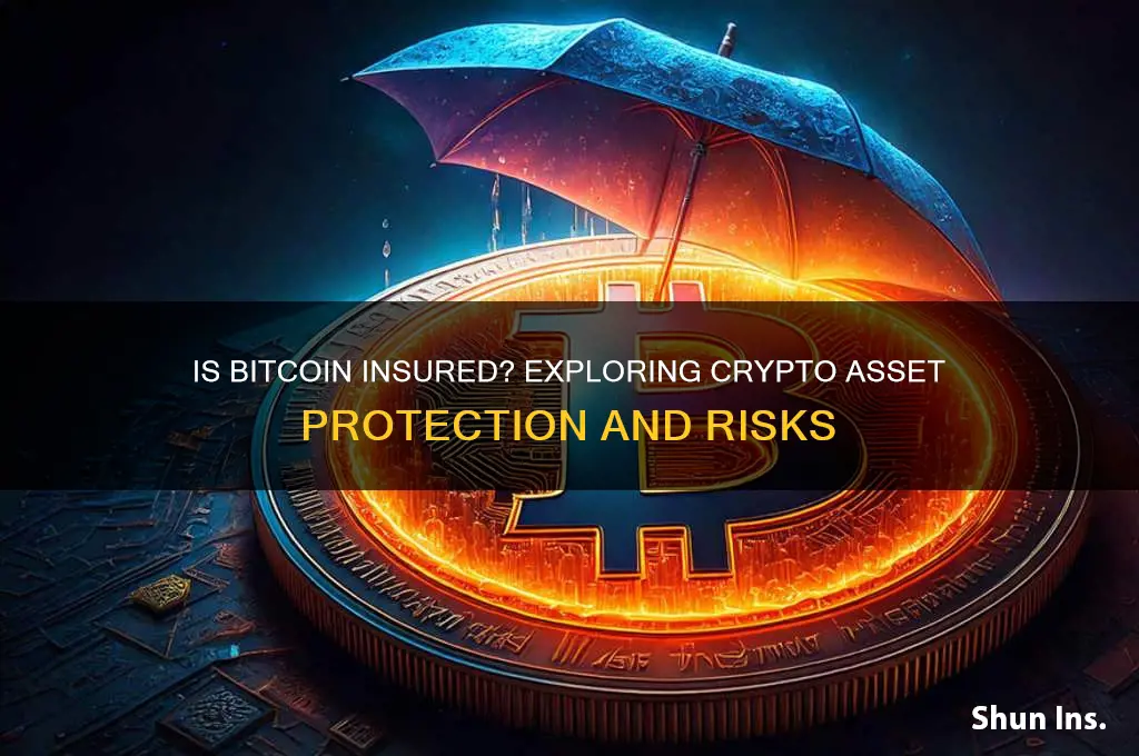 is bitcoin insured