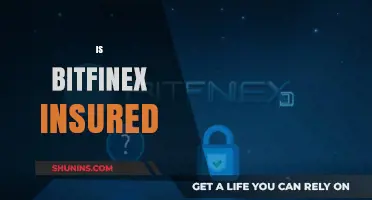 Is Bitfinex Insured? Exploring User Protection and Security Measures
