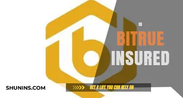 Is Bitrue Insured? Exploring the Platform's Security and User Protection