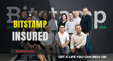 Is Bitstamp Insured? Exploring User Protection and Security Measures