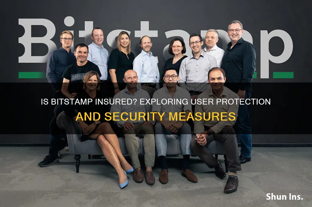 is bitstamp insured