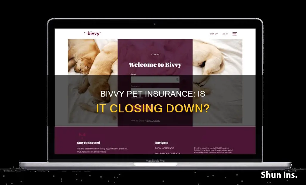 is bivvy pet insurance going out of business