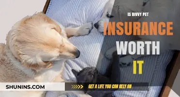 Pet Insurance: Bivvy Worth the Cost?