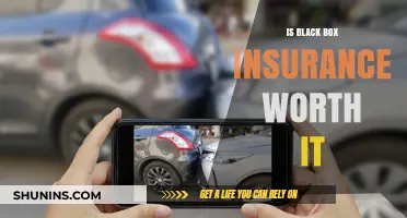 Black Box Insurance: Worth the Cost?