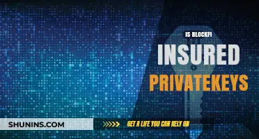 Is BlockFi Insured? Understanding Private Key Security and Protection