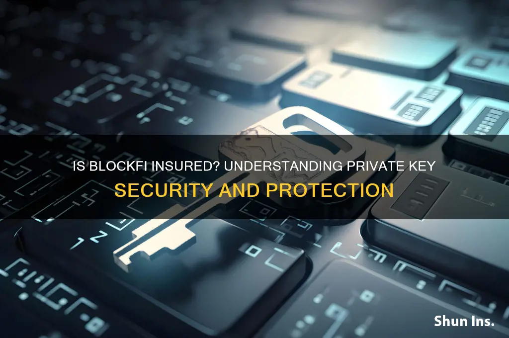 is blockfi insured privatekeys