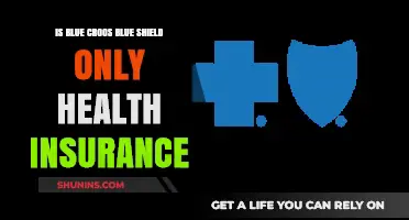 Exploring Blue Cross Blue Shield: More Than Just Health Insurance?