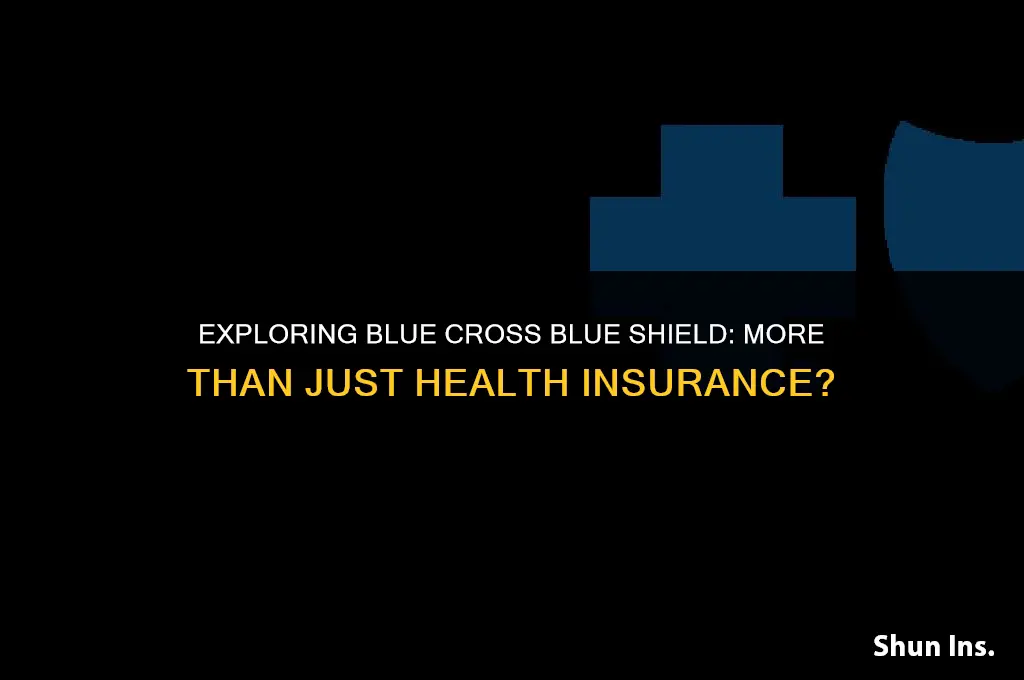 is blue croos blue shield only health insurance