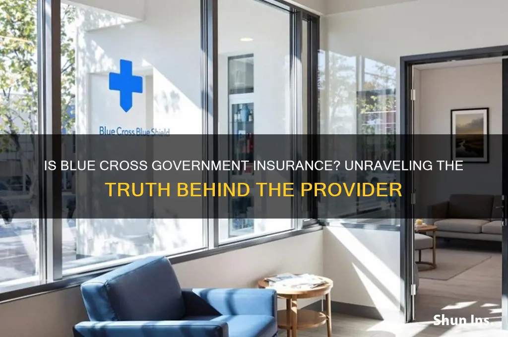 is blue cross a government insurance