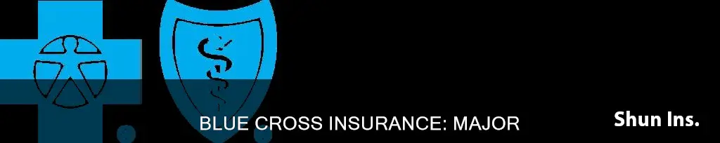 is blue cross a major medical insurance